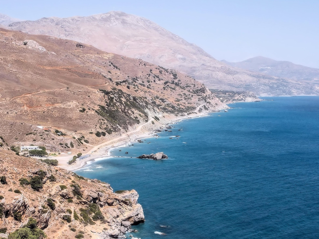 Finikas Beach (Palm Beach)-Plakias必去景点