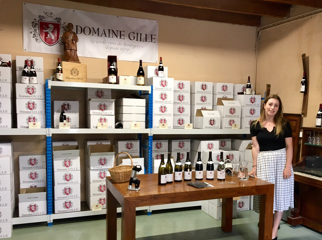 Domaine Gille主图