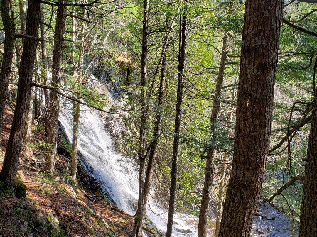 Maliseet Trail-Woodstock必去景点