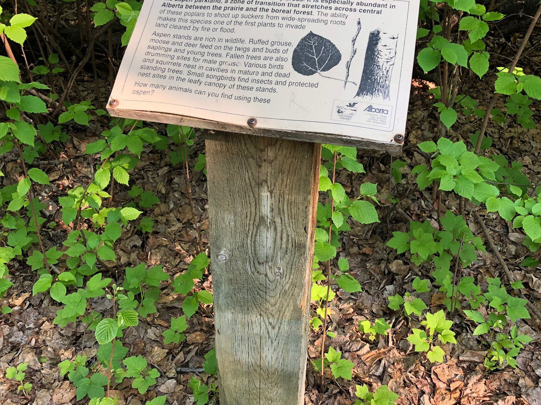 Red Willow Trails-圣艾伯特必去景点