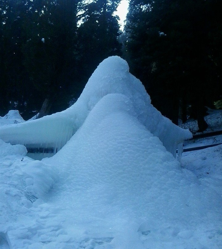 Gulmarg Biosphere Reserve景点图片