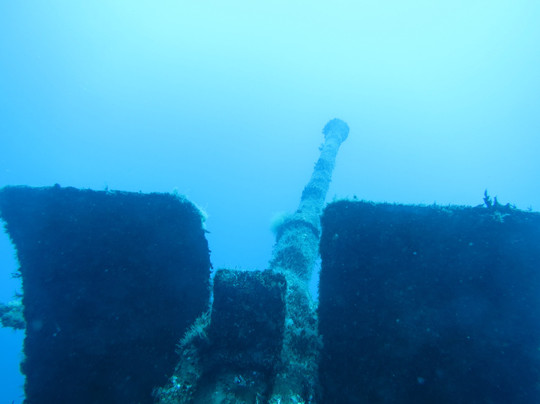 Scuba Madeira-沙尔必去景点