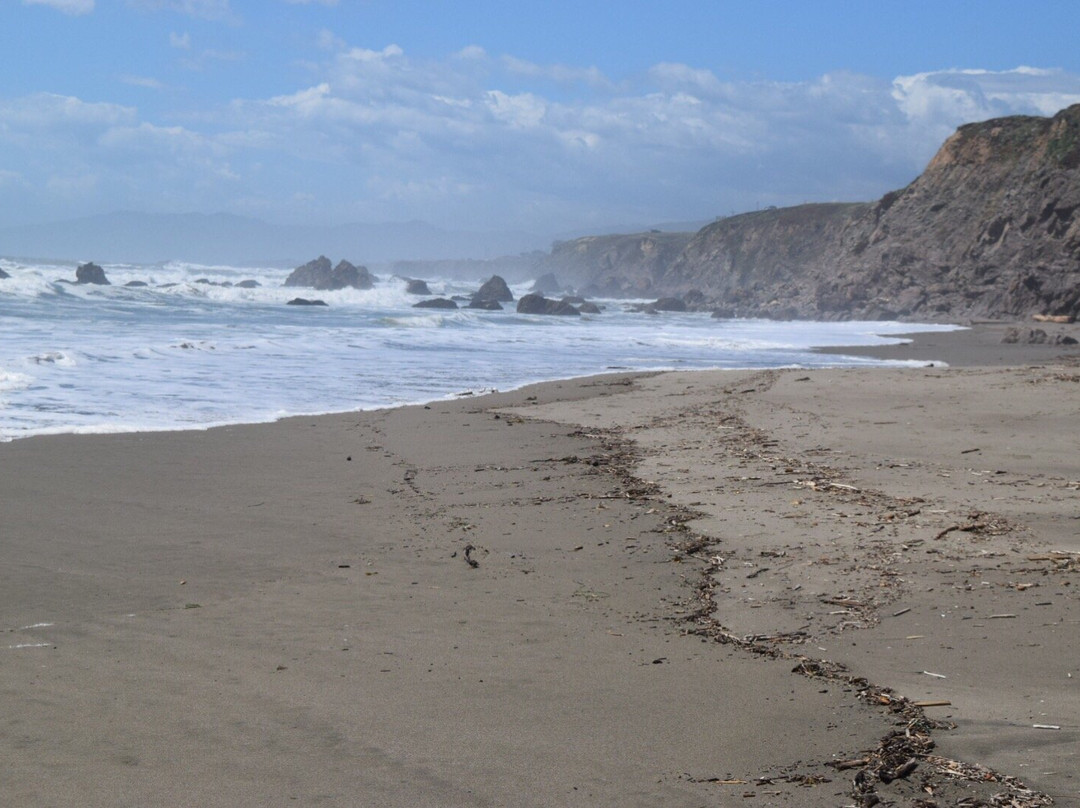Sonoma Coast State Beach - Salmon Creek景点图片