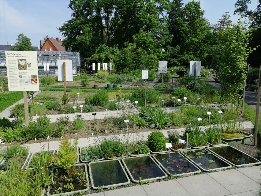 Botanischer Garten Giessen-吉森必去景点