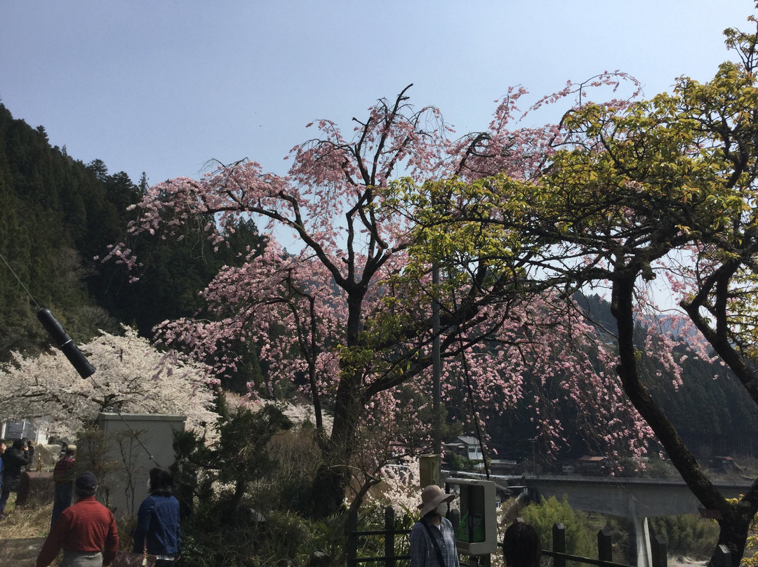 Okiyome no yu-天龙村必去景点