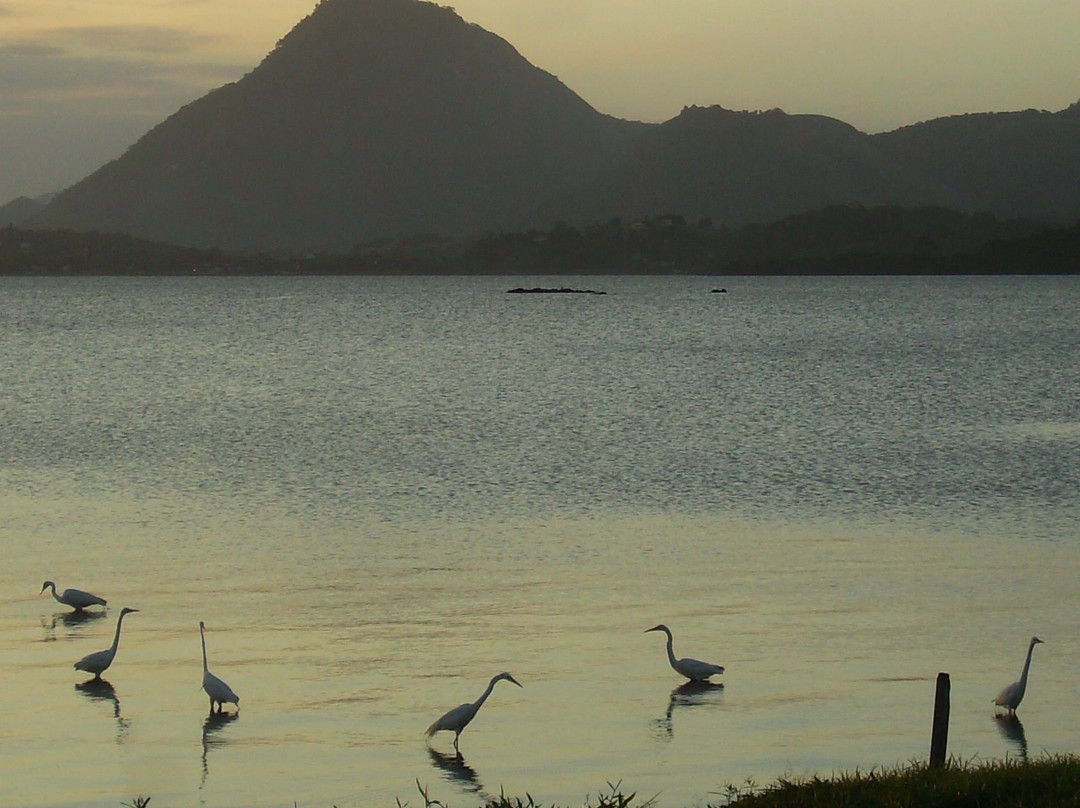 Lagoa De Aracatiba-Marica必去景点