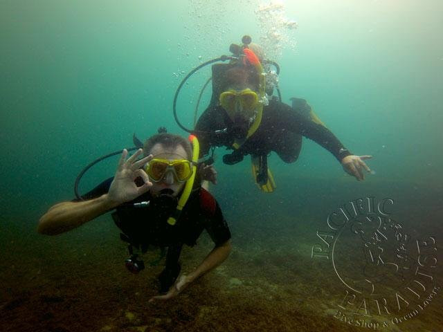 Pacific Paradise Dive Shop & Ocean Lovers景点图片