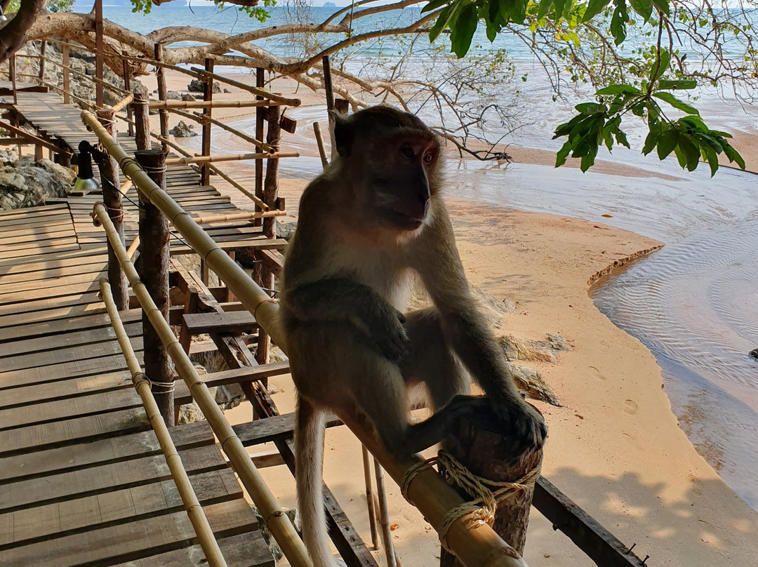 Monkey Trail-奥南必去景点