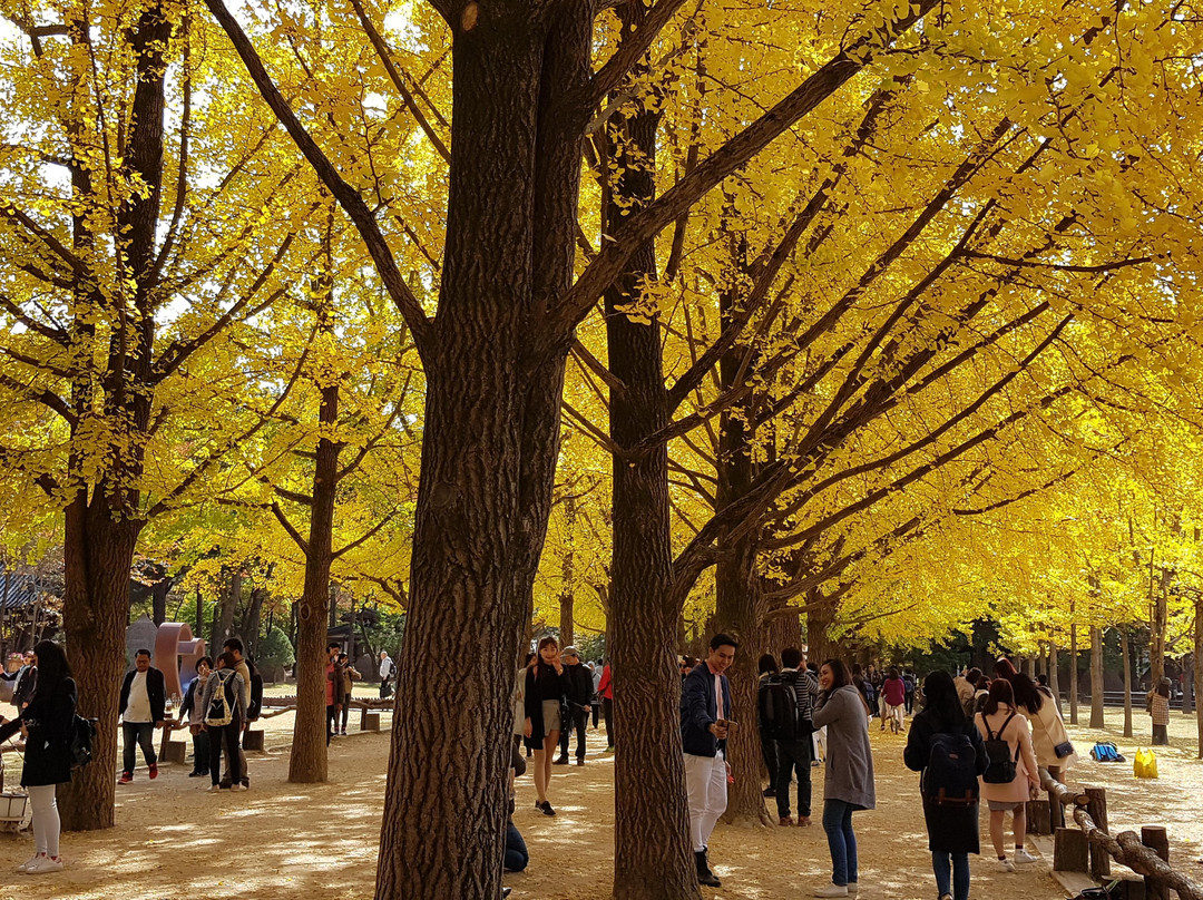 KoreaDiscovery.com-首尔必去景点