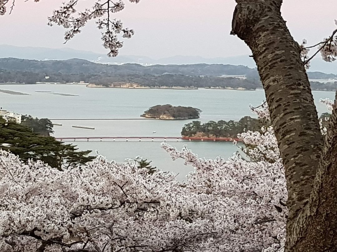 松岛布里斯港海滨旅游度假酒店主图