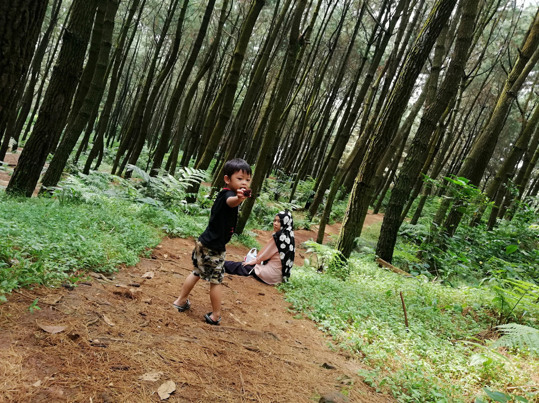 Curug Ciputri景点图片