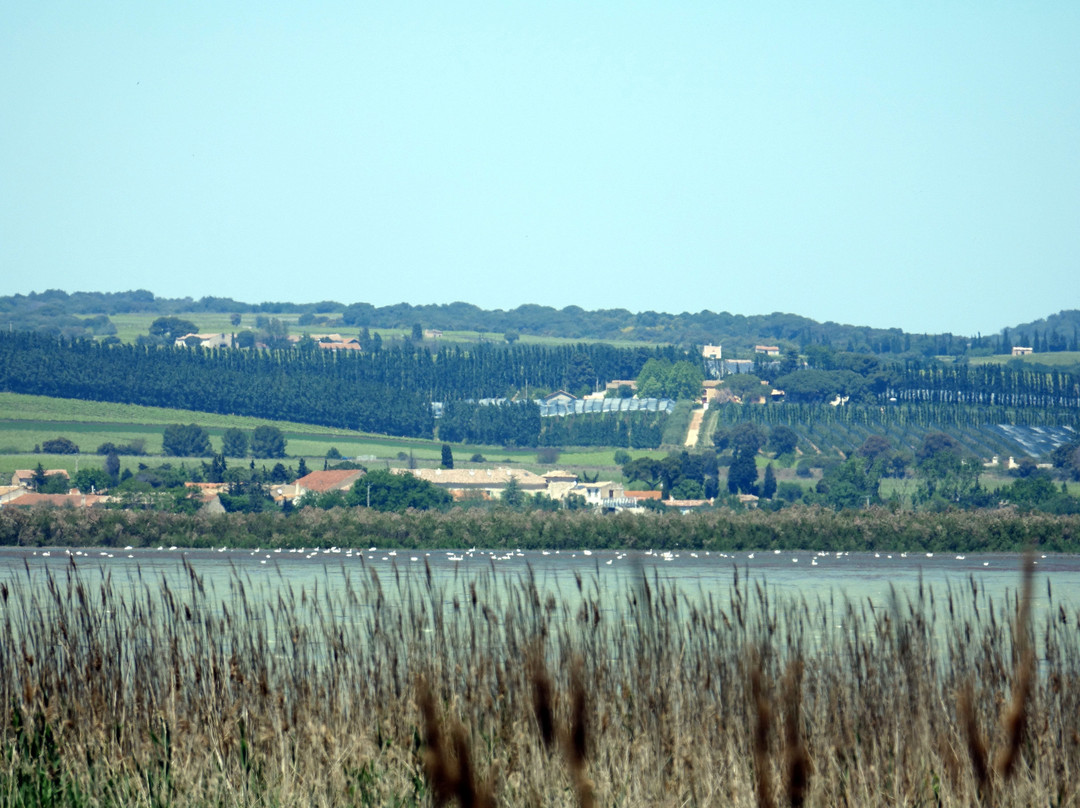 Centre de Découverte du Scamandre景点图片