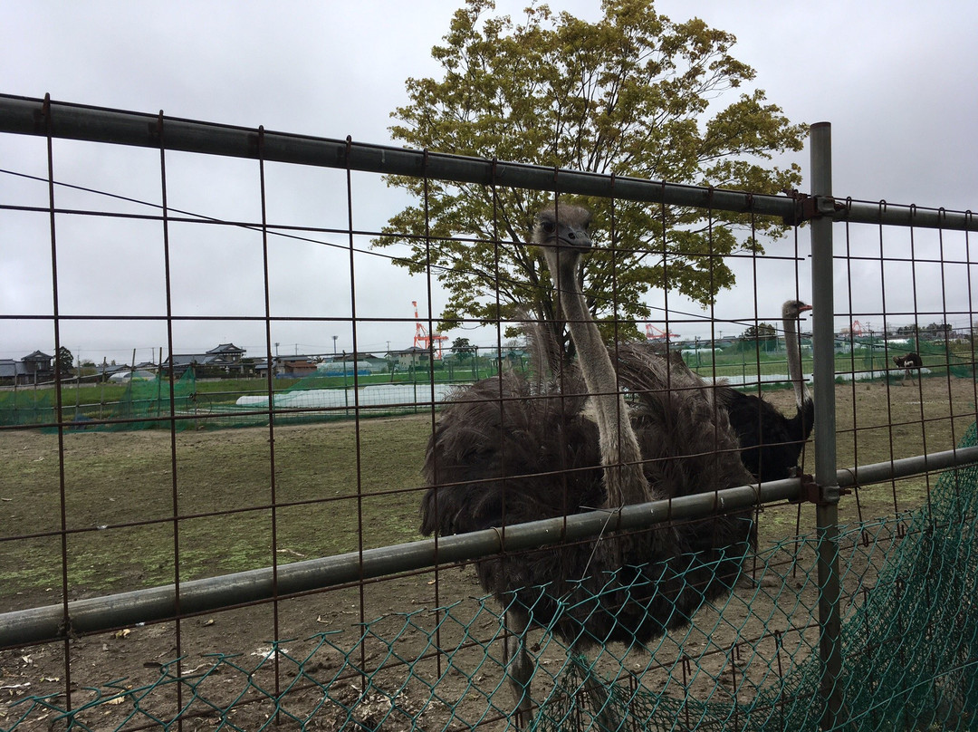 Toyosaka Michi-no-Eki-新泻市必去景点