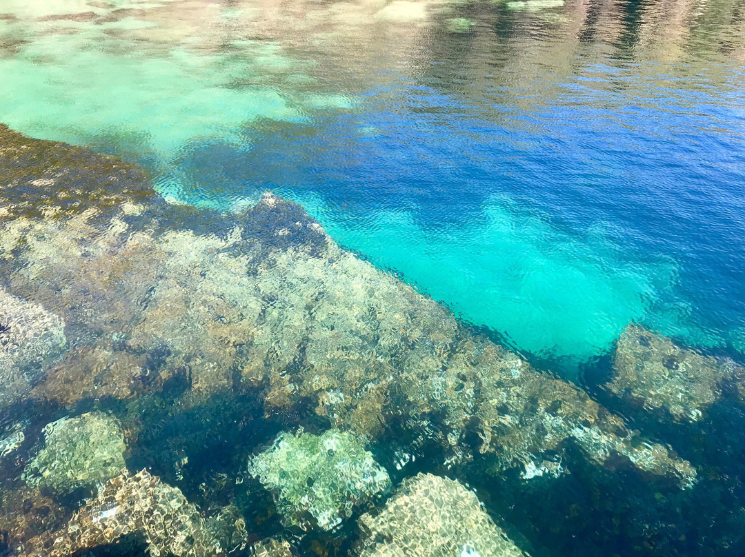 Wild Water Adventures景点图片