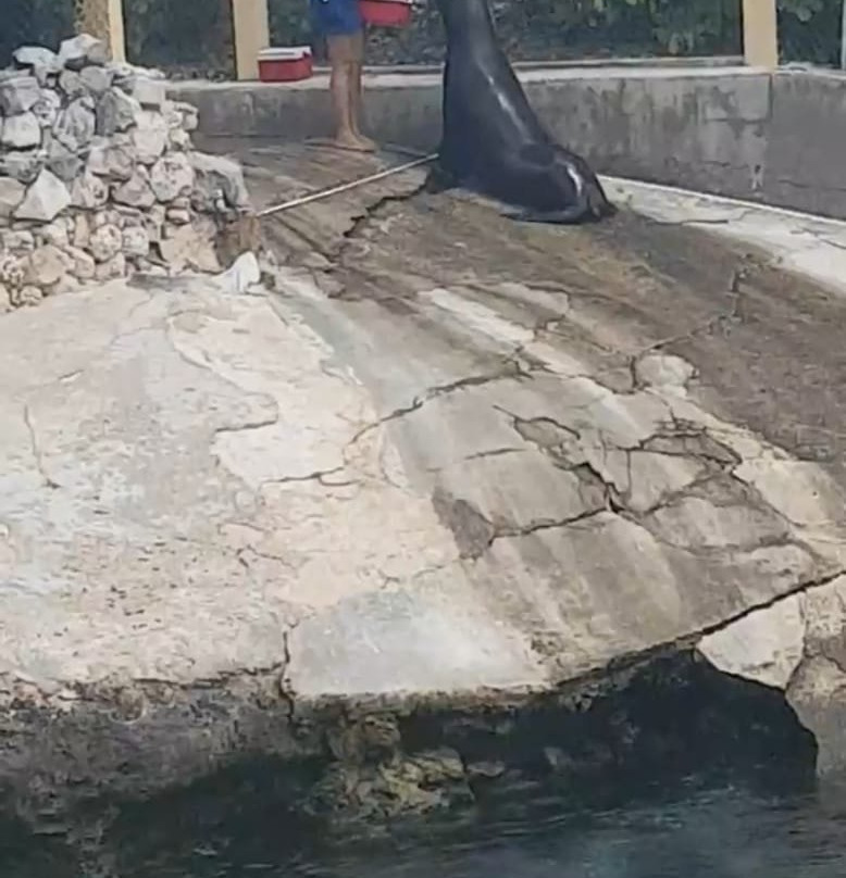 My Bahamas VIP Concierge-拿骚必去景点