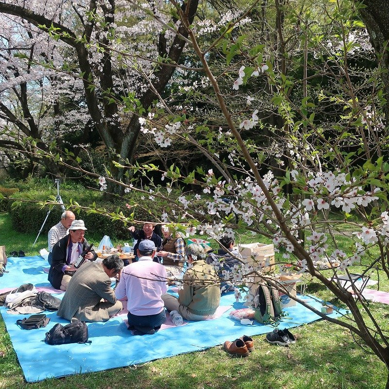 Seiseki Sakuragaoka OPA景点图片