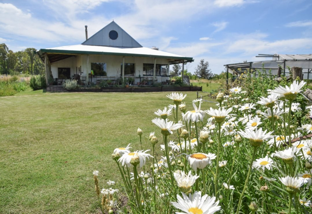 Arturo Segui餐馆和美食-Greens City Bell