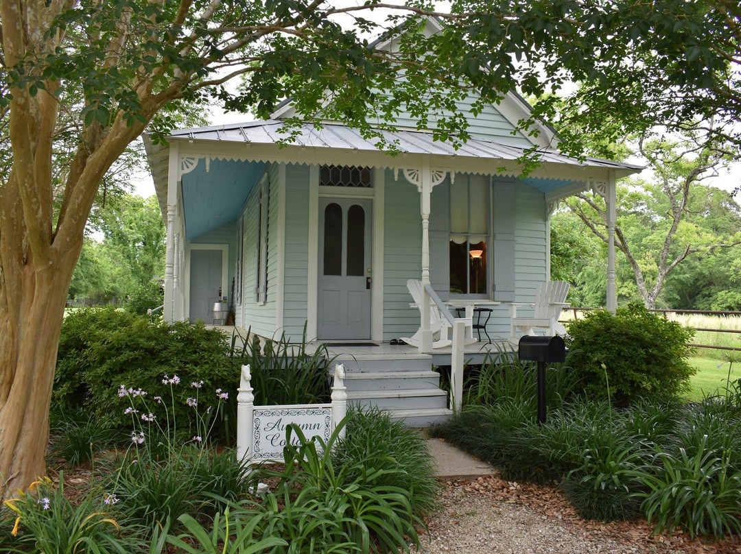 Maison D'Memoire Bed & Breakfast Cottages主图