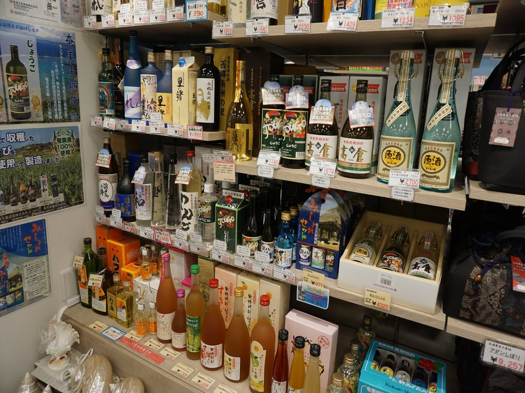 Amami Airport General Information Center-奄美市必去景点