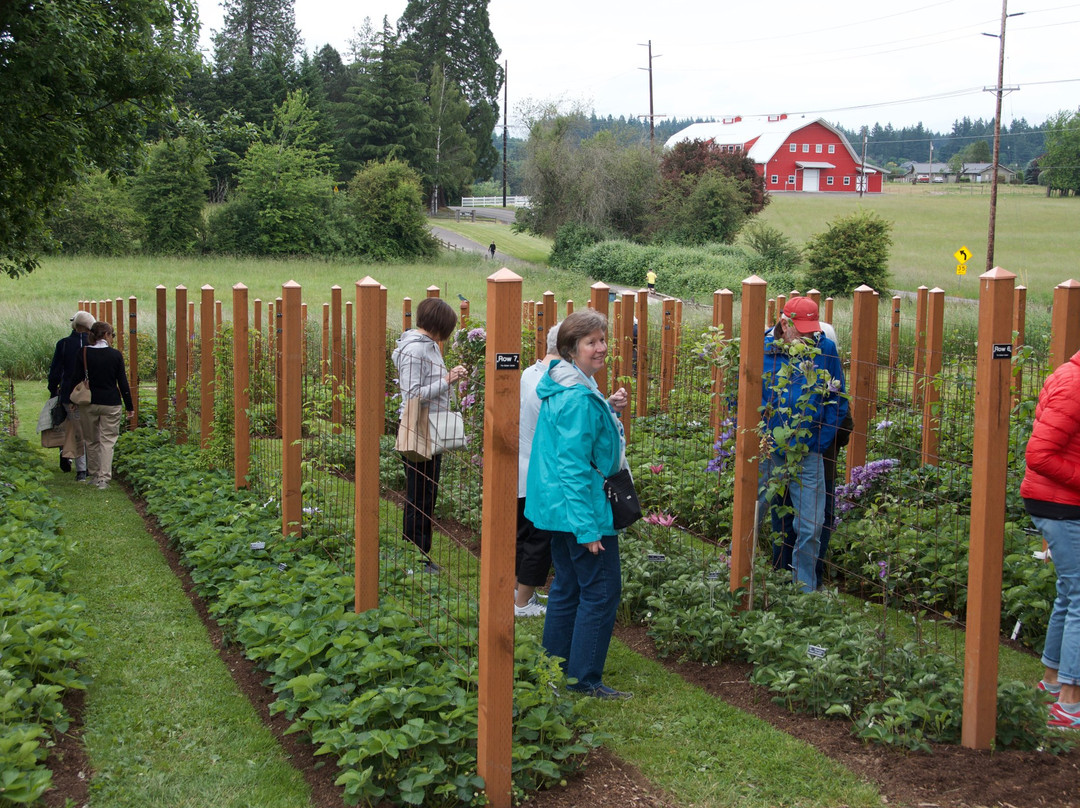 Rogerson Clematis Garden-莱克奥斯韦戈必去景点