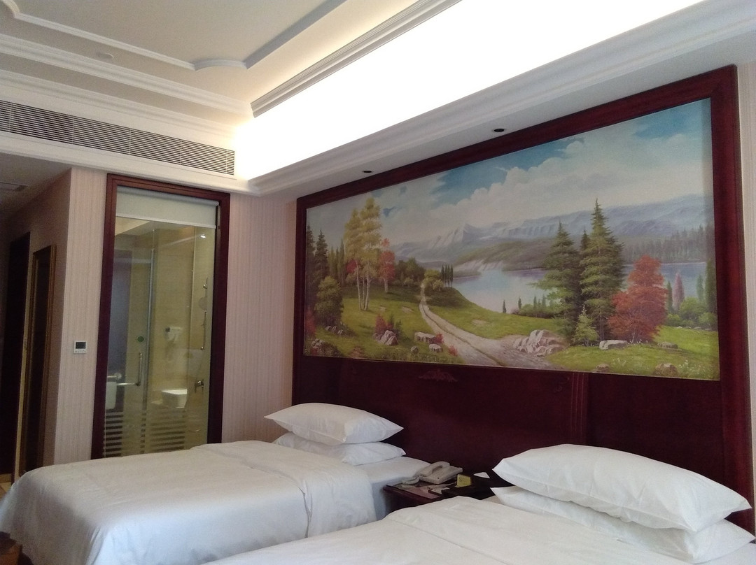 信宜维也纳酒店新尚路店主图