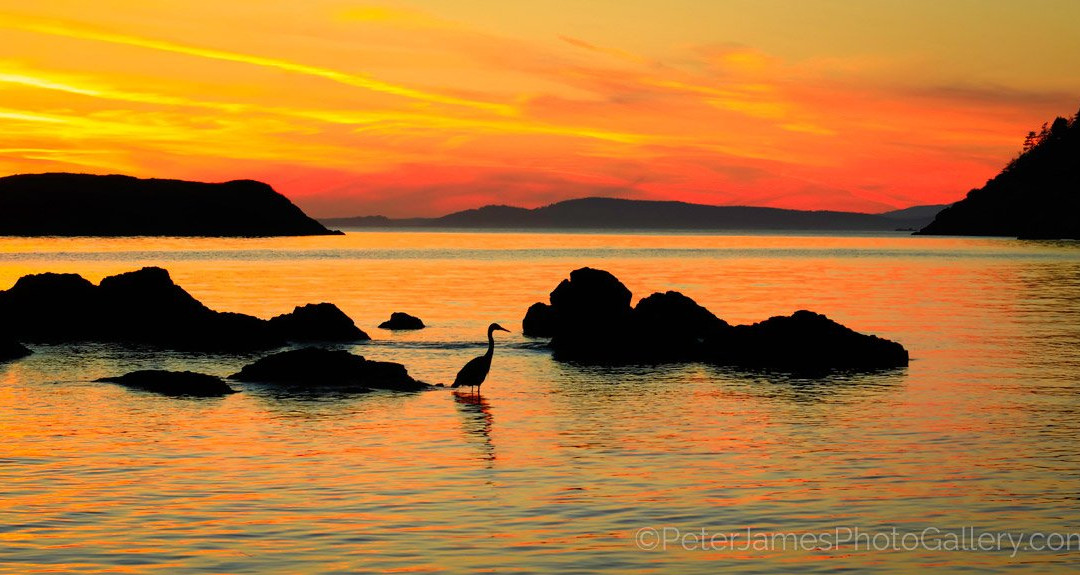 Peter James Photography Gallery-贝灵厄姆必去景点