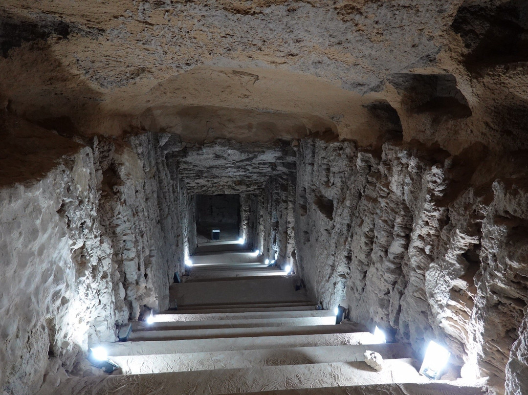 Emo Tours Egypt Alexandria-亚历山大必去景点