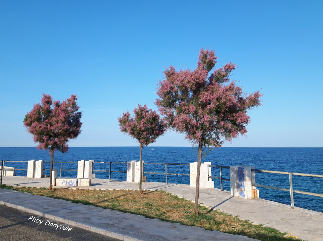 Lungomare Portavecchia-莫诺波利必去景点