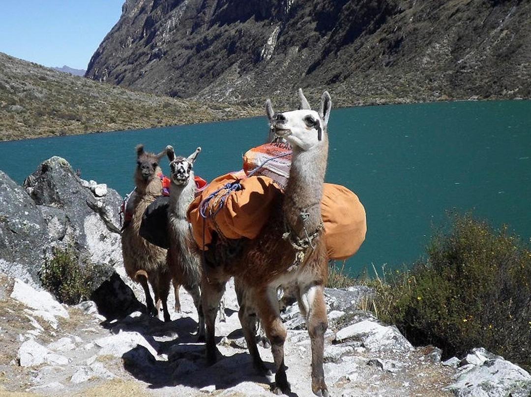 GO PERU ADVENTURE-库斯科必去景点