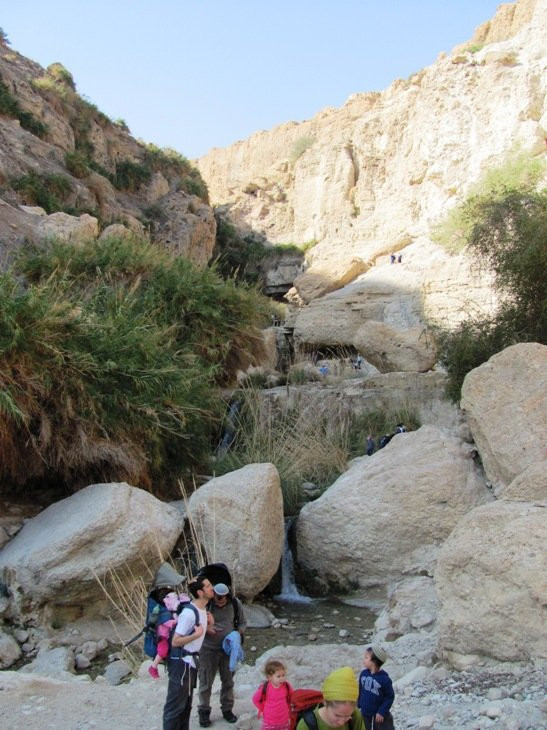 En Gedi Nature Reserve-死海地区必去景点