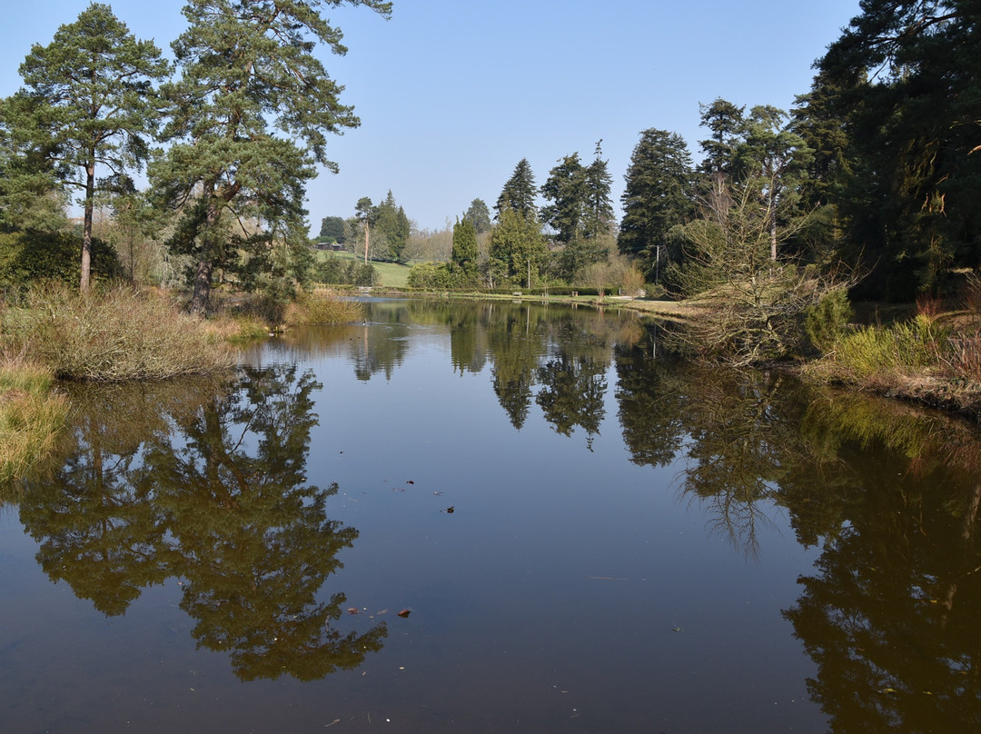 Bedgebury National Pinetum And Forest景点图片