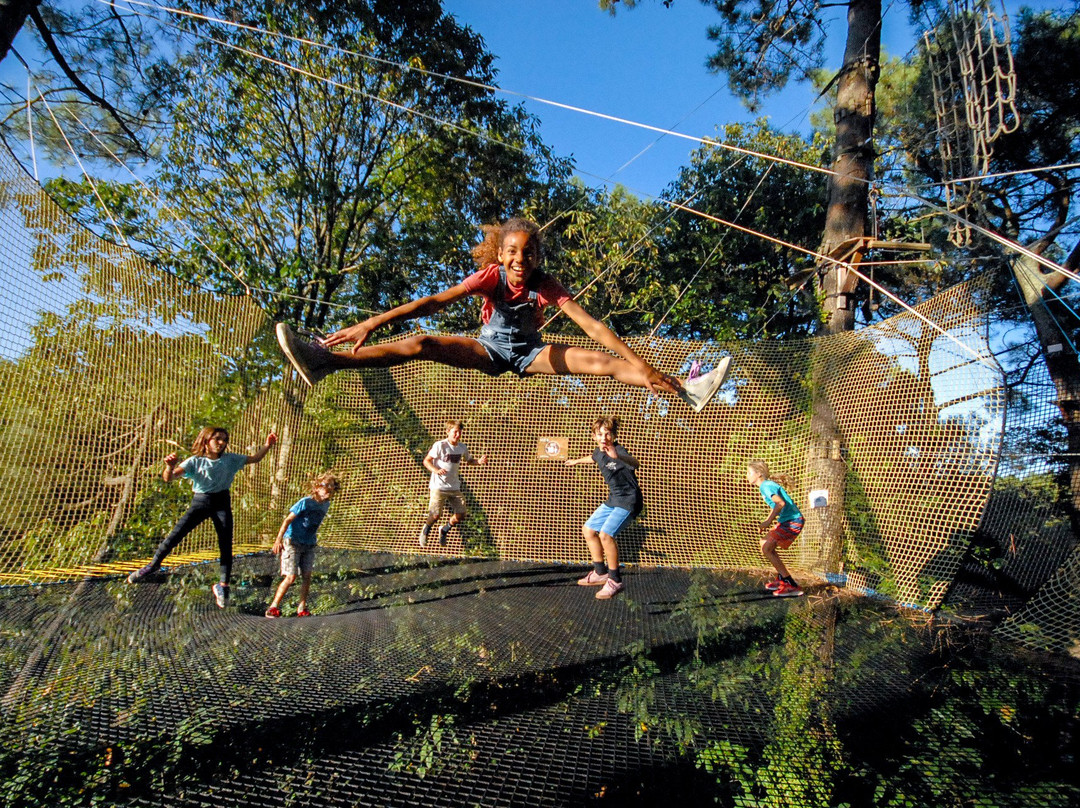 Foret Adrenaline-卡纳克必去景点