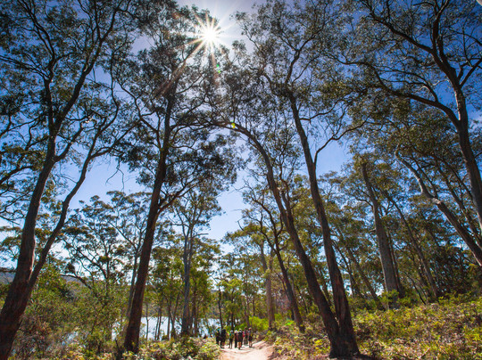 Freycinet Experience Walk-科尔斯湾必去景点