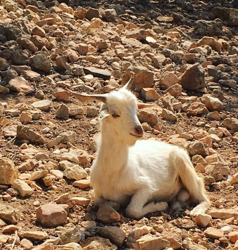 Tawada Hiking-奥瑞尔必去景点