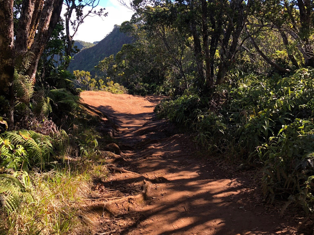 Koke'e Mountains-威美亚必去景点