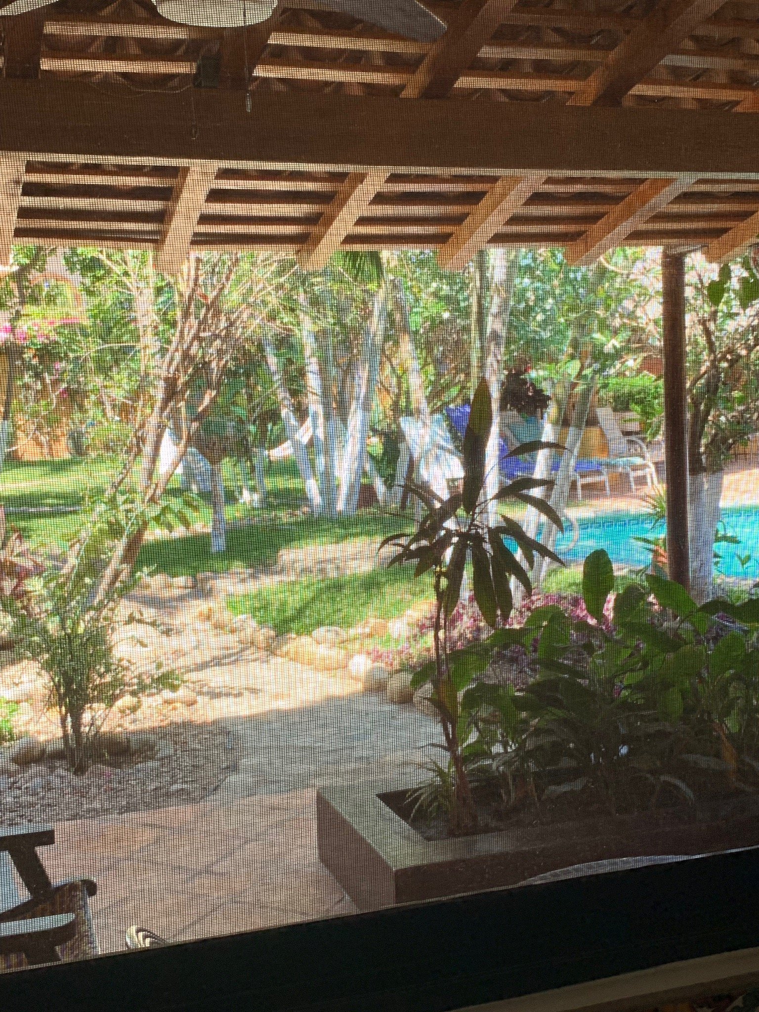 Casa del Mar-官方