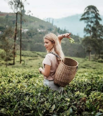 Spring Holidays-班托塔必去景点