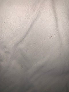 Quality Inn & Suites Near Lake Oconee主图