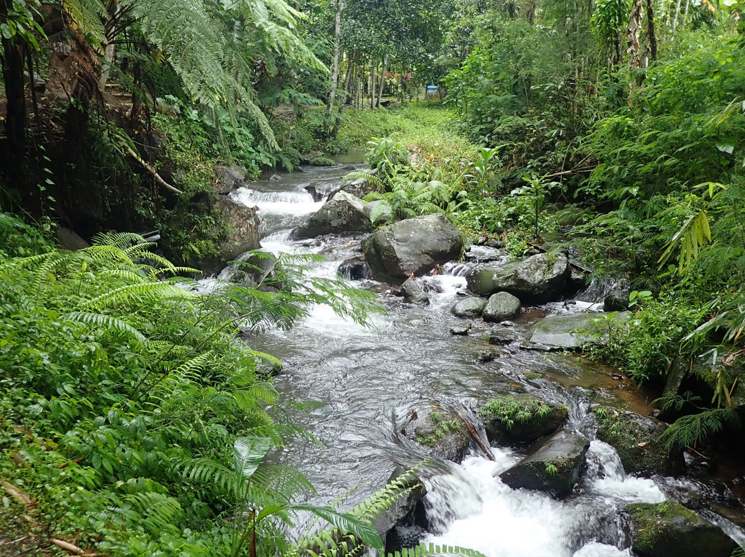 Yeh Ho Waterfalls-Jatiluwih必去景点