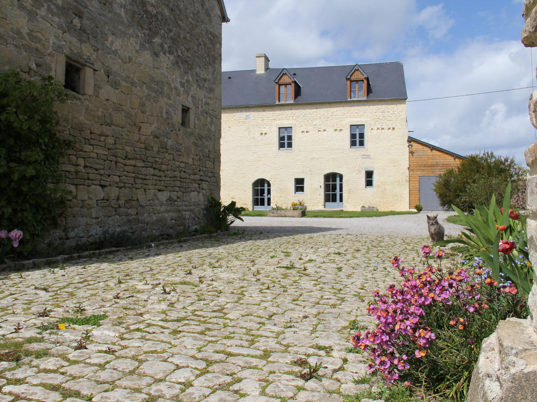 Chambres D'Hotes de Letanville主图