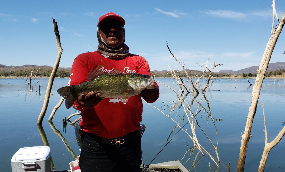 Lake El Salto-马萨特兰必去景点