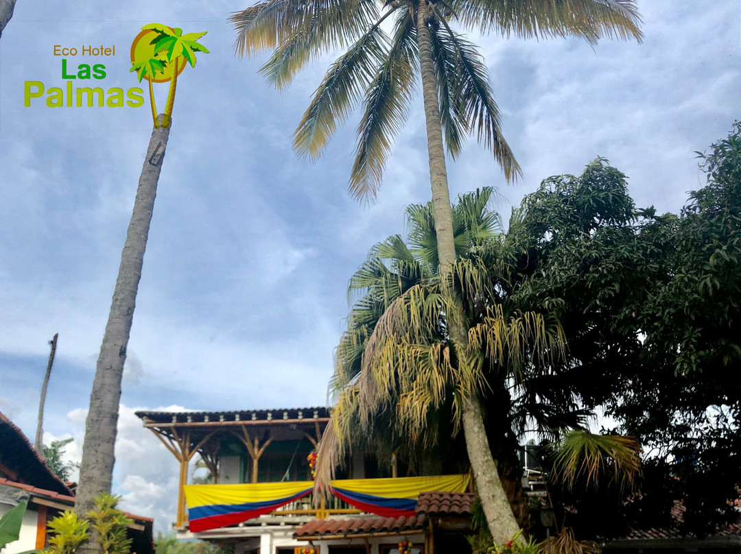 Eco Hotel Las Palmas主图