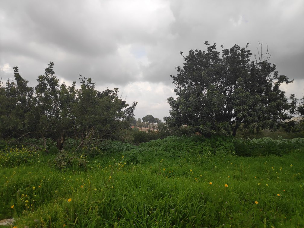 Hulda旅游攻略图片