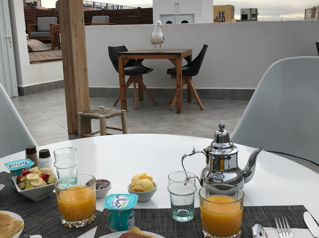 达玛亚摩洛哥传统庭院住宅主图