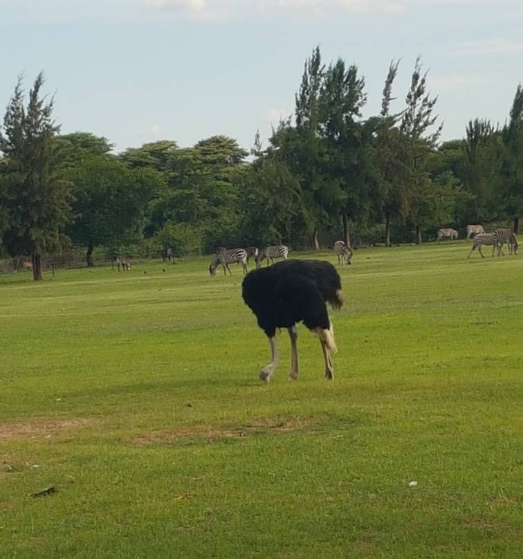 PaZuri Place-卢萨卡必去景点
