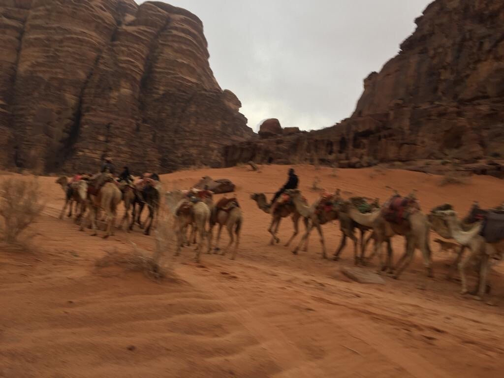 Bedouin Life Tours-佩特拉必去景点