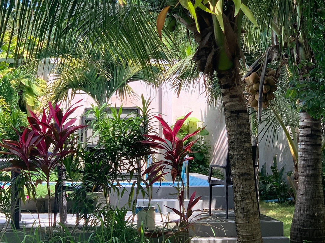 阿姆拉宫酒店主图