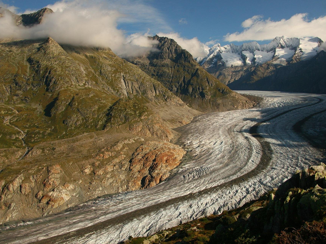 Typically Swiss Tours-卢塞恩必去景点