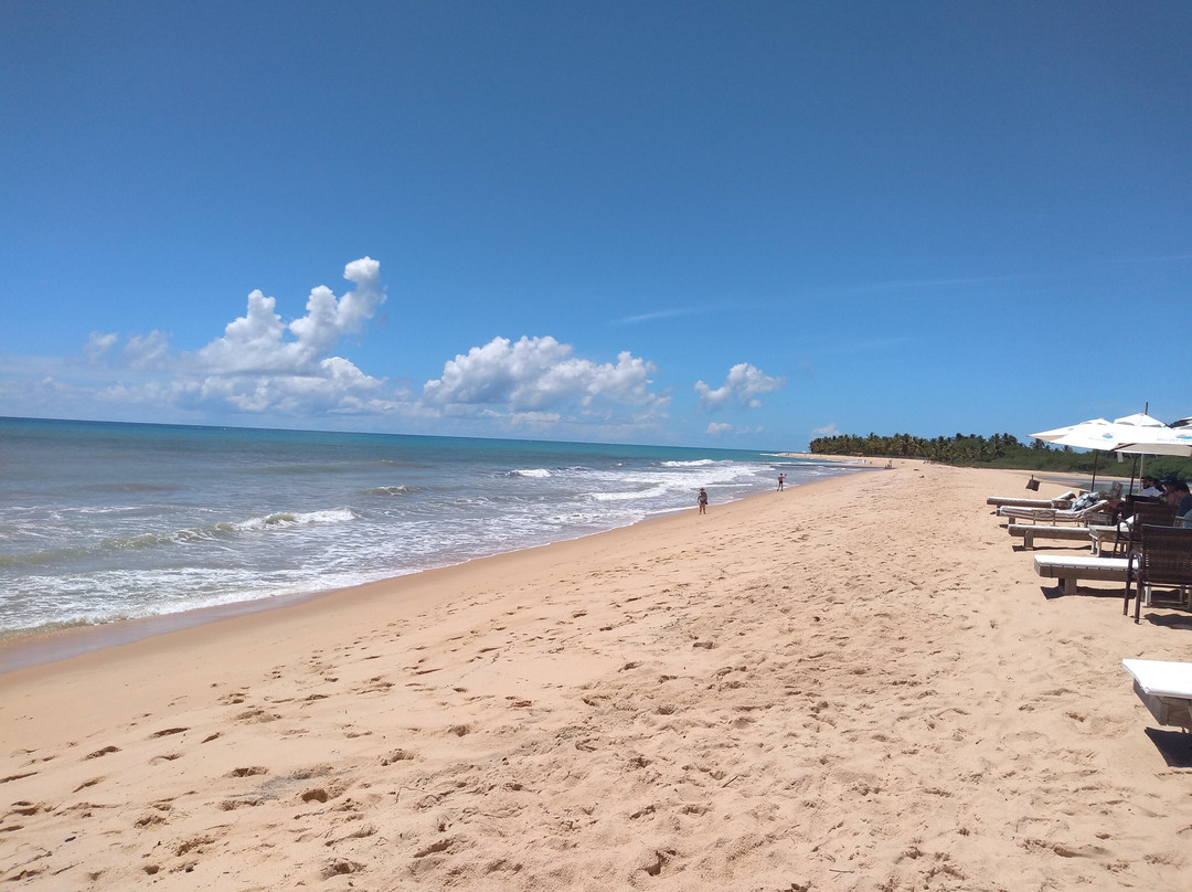 Rio da Barra Beach景点图片