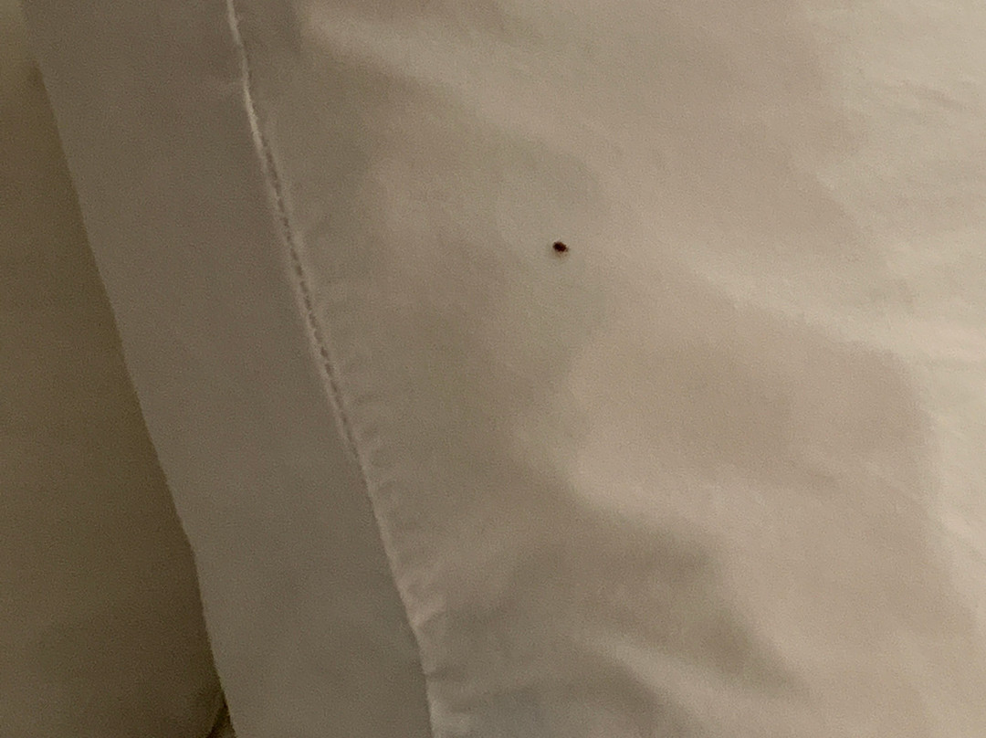 Comfort Suites Salisbury I-85主图